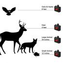 2in1          FAKE LIGHT ALARM  - Garden Solar Motion Ultrasonic Outdoor Large Animal Bird Pest Bat Mouse Repeller